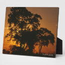 Suche nach safari fotoplatten Sonnenuntergang