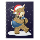 Suche nach schottisches hochlandrind Kuh