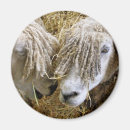 Suche nach schuh magnete Tiere