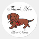 Suche nach wursthund aufkleber Cartoon