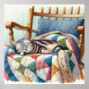 Suche nach sleeping poster Kätzchen
