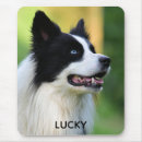 Suche nach weiße hunde mousepads Grenzkollie