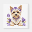 Suche nach yorkshire terrier magnete Niedlich
