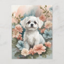 Suche nach wels postkarten Hund