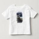 Suche nach seehund tshirts Nordamerika