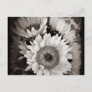 Suche nach schwarz weiß blumen postkarten Blumenstrauß