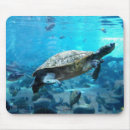 Suche nach schildkröte muschel mousepads Tier