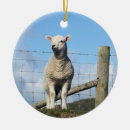 Suche nach niedliche schafe ornamente Lämmer