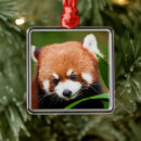 Suche nach niedlicher panda ornamente Niedliche tiere