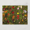 Suche nach waldboden poster Herbst