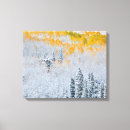 Suche nach aspen leinwandbilder Wald