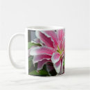 Suche nach stargazerlilie Lilien