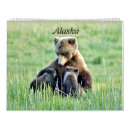 Suche nach alaska büro zubehör Landschaft