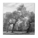 Suche nach landschaft foto fliesen Bäume