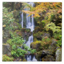 Suche nach portland fliesen Fotografie