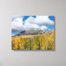 Suche nach aspen leinwandbilder Forest