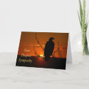 Suche nach adler karten Sonnenuntergang