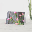 Suche nach primzahl karten Rosa