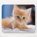 Suche nach blaues auge mousepads Blaue augen