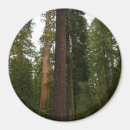 Suche nach yosemite national park magnete Landschaft