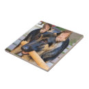 Suche nach shepherd fliesen Haustiere