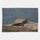Suche nach reptilien geschirr tücher Natur