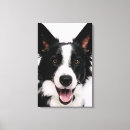Suche nach border collie leinwandbilder Niedlich