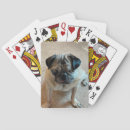 Suche nach mops spielkarten Poker