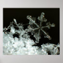 Suche nach blizzard poster Foto