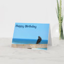 Suche nach rave karten Vogel