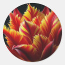 Suche nach papageien aufkleber Blume