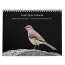 Suche nach singvogel Tierwelt