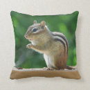 Suche nach chipmunks kissen Natur