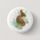 Suche nach hasen buttons Haustier