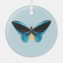 Suche nach insekten ornamente Sommer