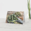 Suche nach schildkröte karten Reptil