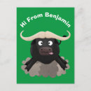 Suche nach büffel postkarten Lustig