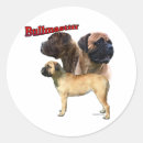 Suche nach bullmastiff aufkleber Mastitin
