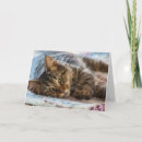 Suche nach niedliches kätzchen karten Katzen