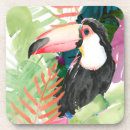 Suche nach toucans untersetzer Tropische vögel