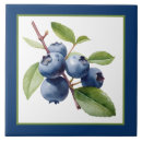 Suche nach heidelbeere fliesen Obst