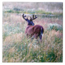 Suche nach bug fliesen Natur