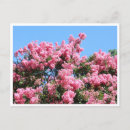 Suche nach rosa himmel postkarten Farbenfroh