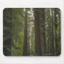 Suche nach straße mousepads Landschaft