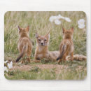 Suche nach junges mousepads Kaninchen