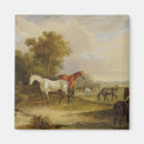 Suche nach weide magnete Pferde