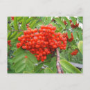 Suche nach skagway poster Urlaub