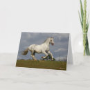 Suche nach stallion karten Grau
