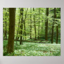 Suche nach waldplakat Friedlich