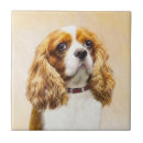 Suche nach spaniel fliesen Cavalier king charles spaniel
